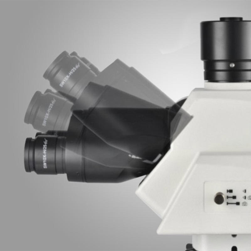 Microscopio serie MN 60